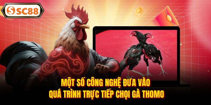 Một số công nghệ đưa vào quá trình trực tiếp chọi gà Thomo